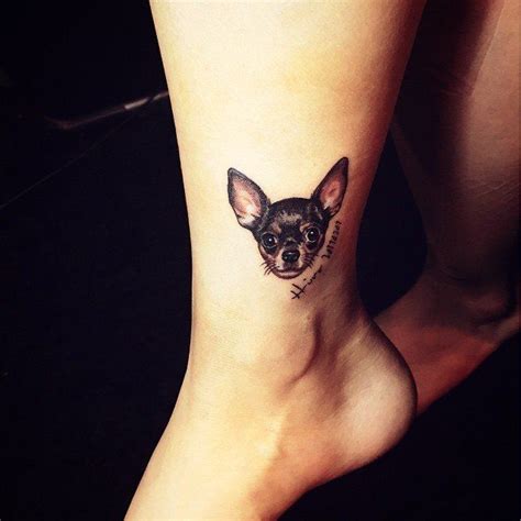 14 Ways To Put Chihuahuas On Your Body Page 2 Of 3 Petpress Dog
