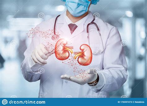 Concept Of Surgical Treatment Of The Kidneys Stock Image Image Of