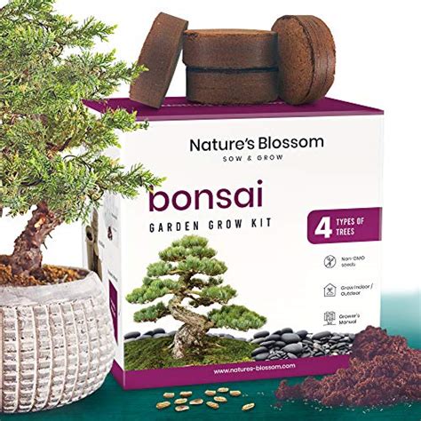 Natures Blossom Bonsai Tree Seed Starter Kit For Beginner Gardeners