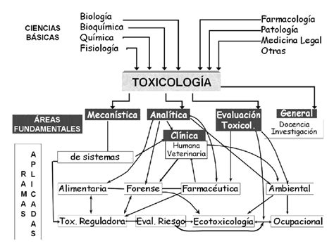 Mapa Conceptual Toxicologia Porn Sex Picture