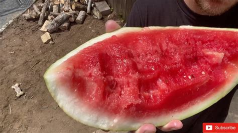 First Watermelon Of The Season 2020 Youtube