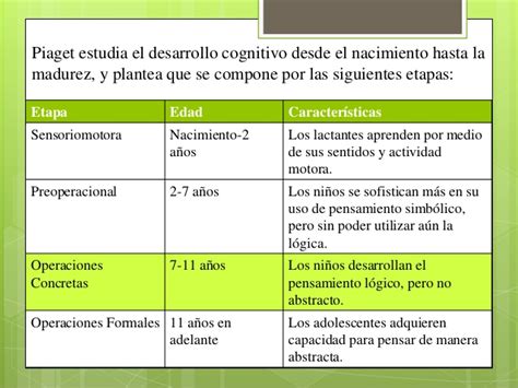 Piaget Y Las Cuatro Etapas Del Desarrollo Cognitivo B