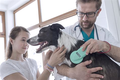 The first step is to give us a call now. Animal Hospital Near Me | Faith Veterinary Clinic | United ...