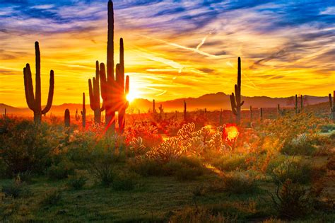 Summer Solstice 2019 When Is It What To Know Sonoran Desert
