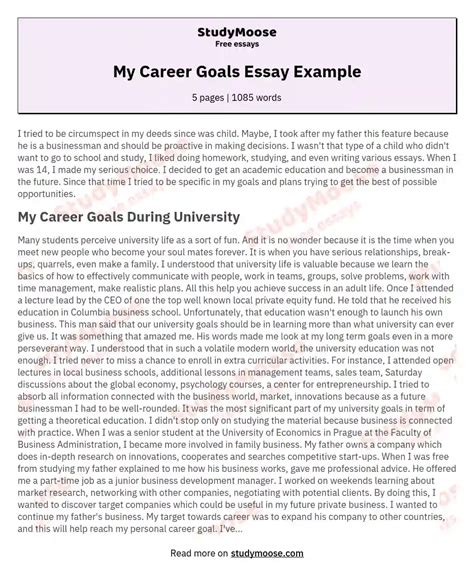 My Career Goals Essay Example Free Essay Example