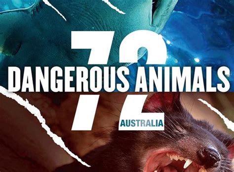 72 Dangerous Animals Australia Season 1 Episodes List Next Episode