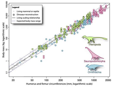 Graph Of Dinosaur Weights IMAGE EurekAlert Science News Releases