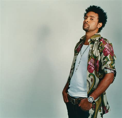 Shaggy Discography Discogs