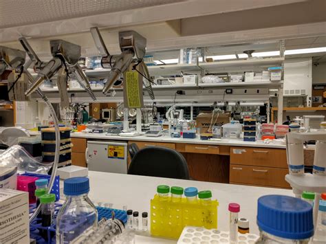 Daniel Siegwart Laboratory At Ut Southwestern Medical Center