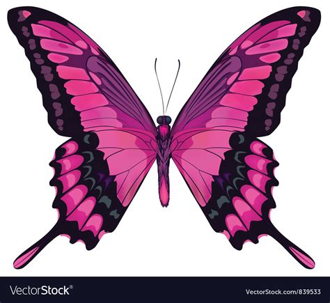 Beautiful Pink Butterfly Royalty Free Vector Image