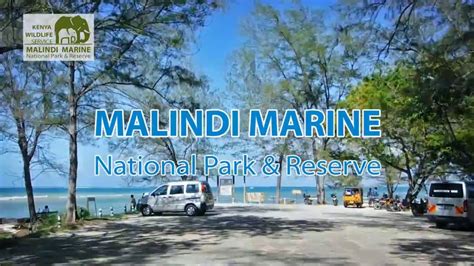 Malindi Marine Park And Reserve Kenya Youtube