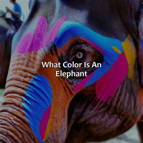What Color Is An Elephant