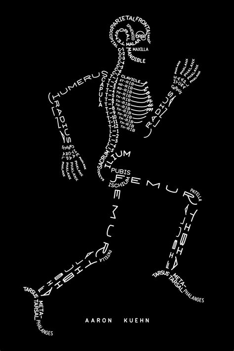 Bone names names of bones are usually latin. Aaron Kuehn | Skeleton Typogram