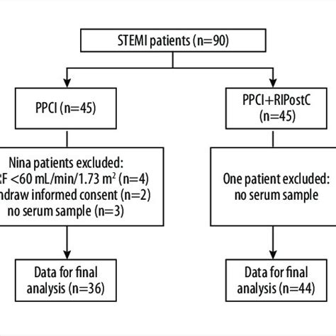 Study Design Patient Flow Chart Download Scientific Diagram
