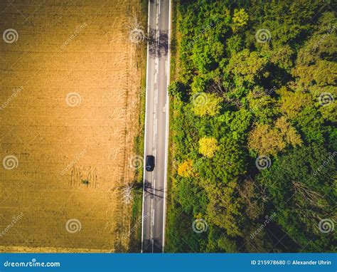 Aerial View Of Green Forest Asphalt Road Aerial View Car Truck Drive