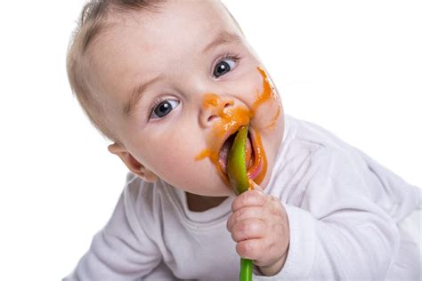 Baby Led Weaning Vs Purees Which Should You Do Weaning 40 Off