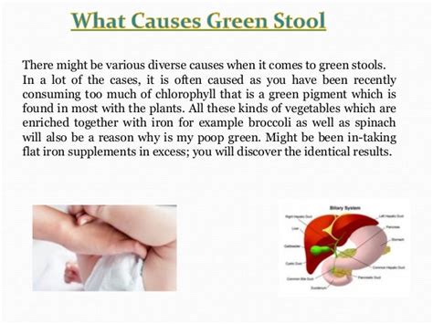 Cause Of Green Bowel Movements In Adults Iphonekindl