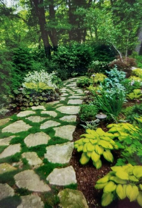 Beautify Path In Shade Garden Shade Landscaping Woodland Plants