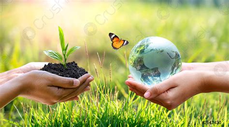 Concept Save The World Save Environment The World Is In Stock Photo