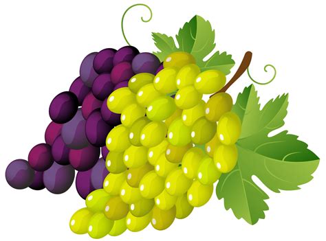 Grapes Clip Art - Cliparts.co