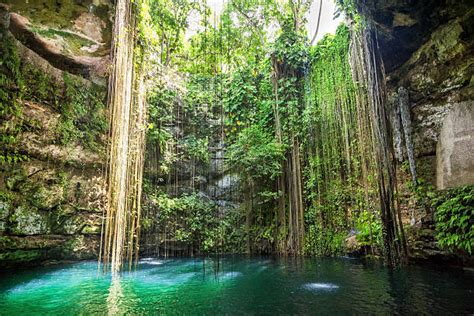 1000 Yucatan Peninsula Sinkholes Sinkhole Cenote Stock Photos