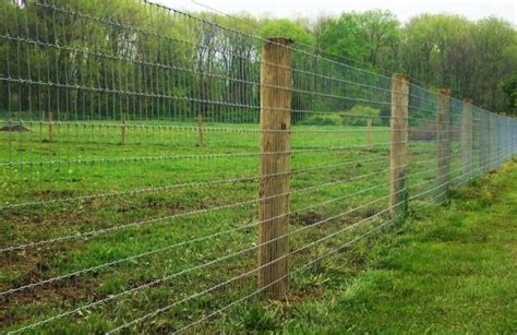 Types Of Metal Wire Fencing Design Talk