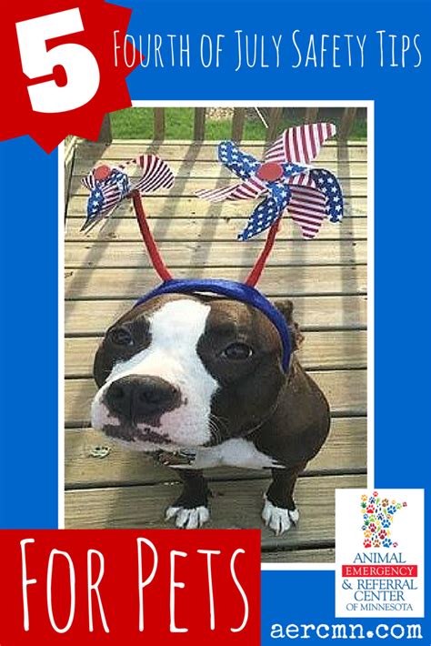 Five Tips To Keep Your Pets Safe On Fourth Of July Pet Safe Your Pet