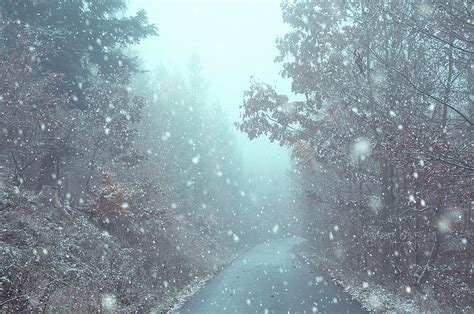 Snowing In Misty Woods Photograph By Jenny Rainbow Fine Art America