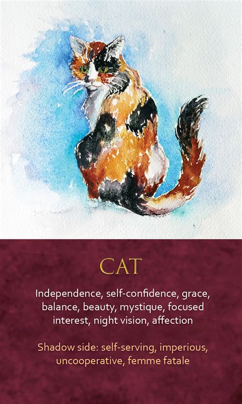 Image Slot Cat Spirit Animal Spiritual Animal Animal Meanings