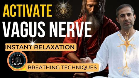 Instant Relaxation 🧘 3 Vagus Nerve Breathing Techniques 🌊 The School Of