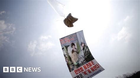 South Korea Balloons Seoul To Ban People Sending Cross Border Messages