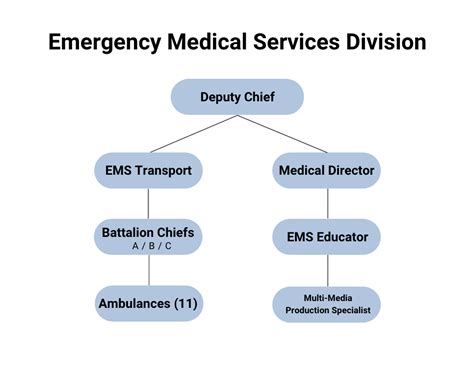 Emergency Medical Services City Of Chula Vista