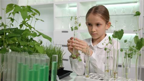 Child In Chemistry Lab School Science Growing Seedling Plants Biology