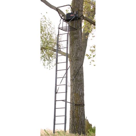 Big Game 20 Ultra Max Ladder Tree Stand 138780 Ladder Tree