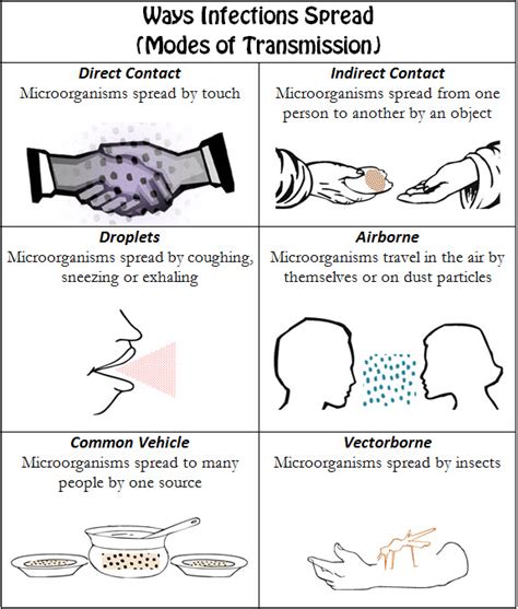 Modes_of_Transmission.jpg (575×676) | Infection control nursing, Vital