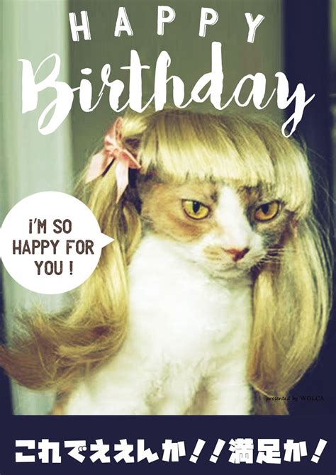 Download 猫のお誕生日爆笑画像 Images For Free