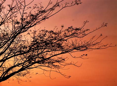 Dawn Tomorrow Sunset Shadows free image download