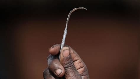 ‘huge And Significant Decline In Fgm Across Most Of Africa Report