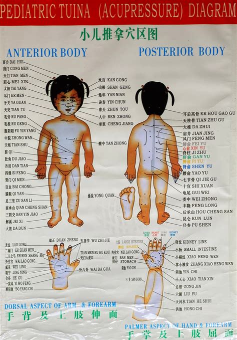 Pediatric Tuina Chart
