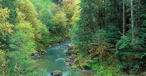 Rogue River Siskiyou National Forest Oregon Roadtrippers