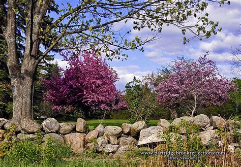 Spring In New England New England New Hampshire Keene