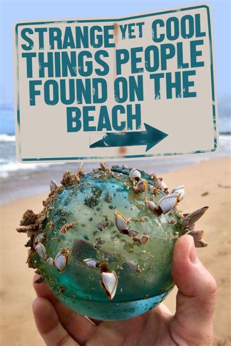 Interesting Things Found On Beach Beach Travel Pictures Fun
