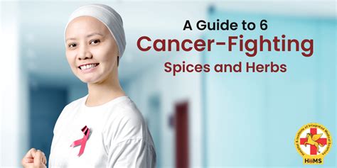 Ayurvedic Cancer Treatment 6 Cancer Fighting Spices And Herbs