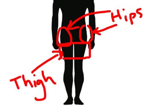 What Is The Difference Between Hip And Thigh Hip Vs Thigh