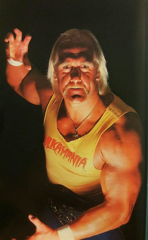 Hulk Hogan The Immortal Wwe Superstar