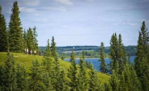 Meadow Lake Provincial Park National Parks Natural World Saskatchewan