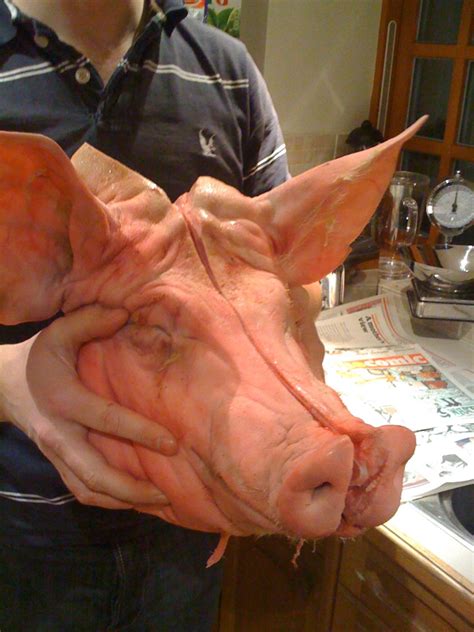 Roast Pigs Head A Classic Historic Recipe