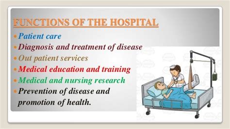 Hospital Types And Functions