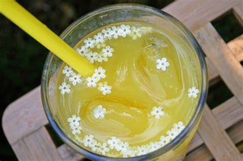 무료 이미지 유리 여름 식사 식품 녹색 목초 생기게 하다 야채 음주 시럽 열 레몬 칵테일 모히또