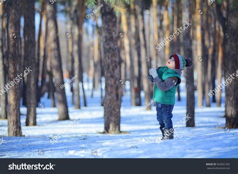 Cute Preschooler Boy Walk Snowy Forest Stock Photo 563601292 Shutterstock